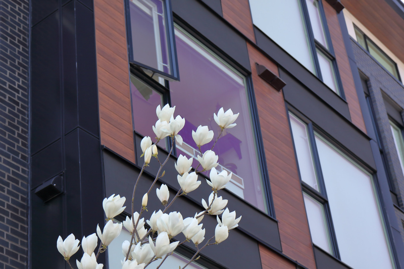 Illustration for article titled Pics from the Curbside: 2018-04-22 to Kerrisdale